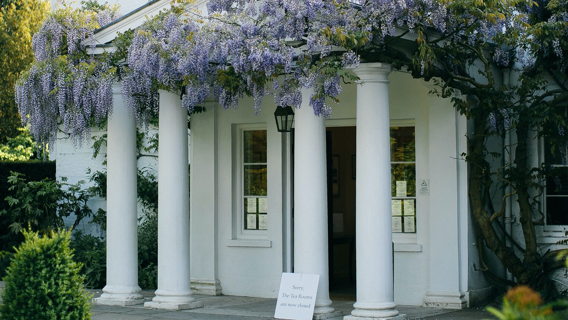 house7